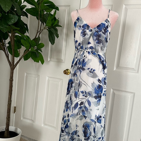 Carlotta Blue and White Floral Print Sleeveless
Maxi Dress - Picture 3 of 14
